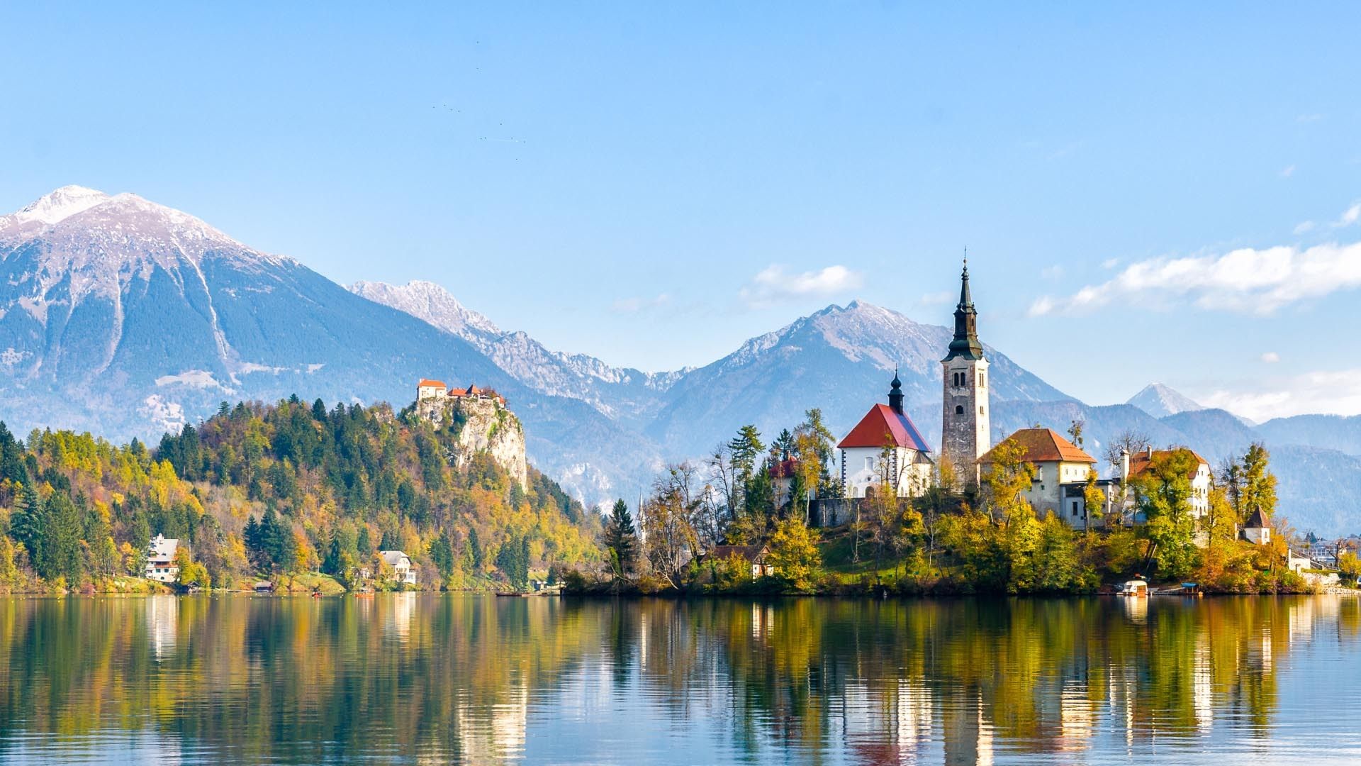 Bledcom1920x1080 Web